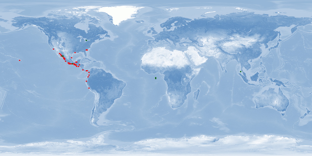 Distribution map: Penaeus vannamei (Whiteleg shrimp)